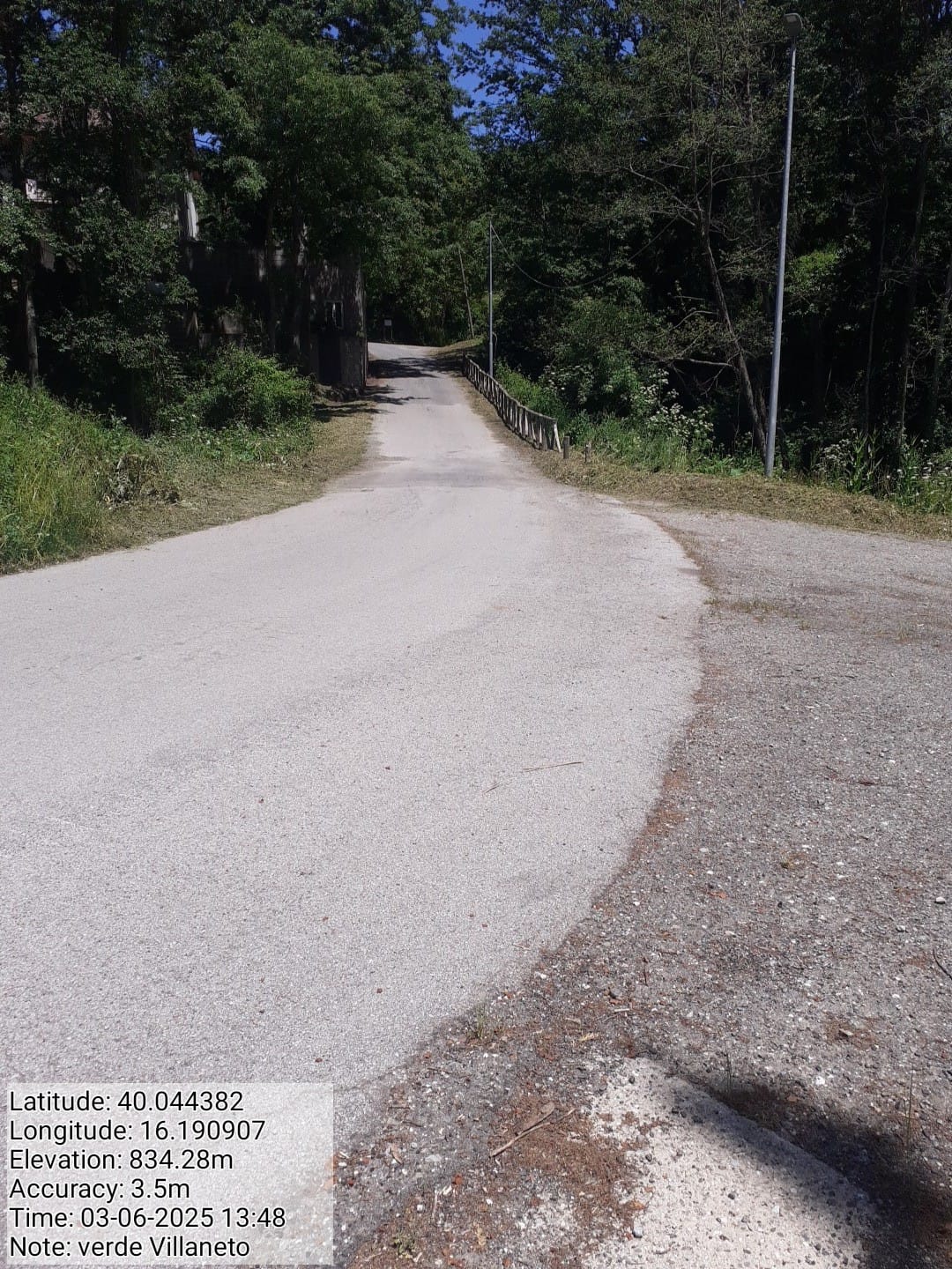 Galleria Fotografica Immagine