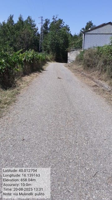 Galleria Fotografica Immagine