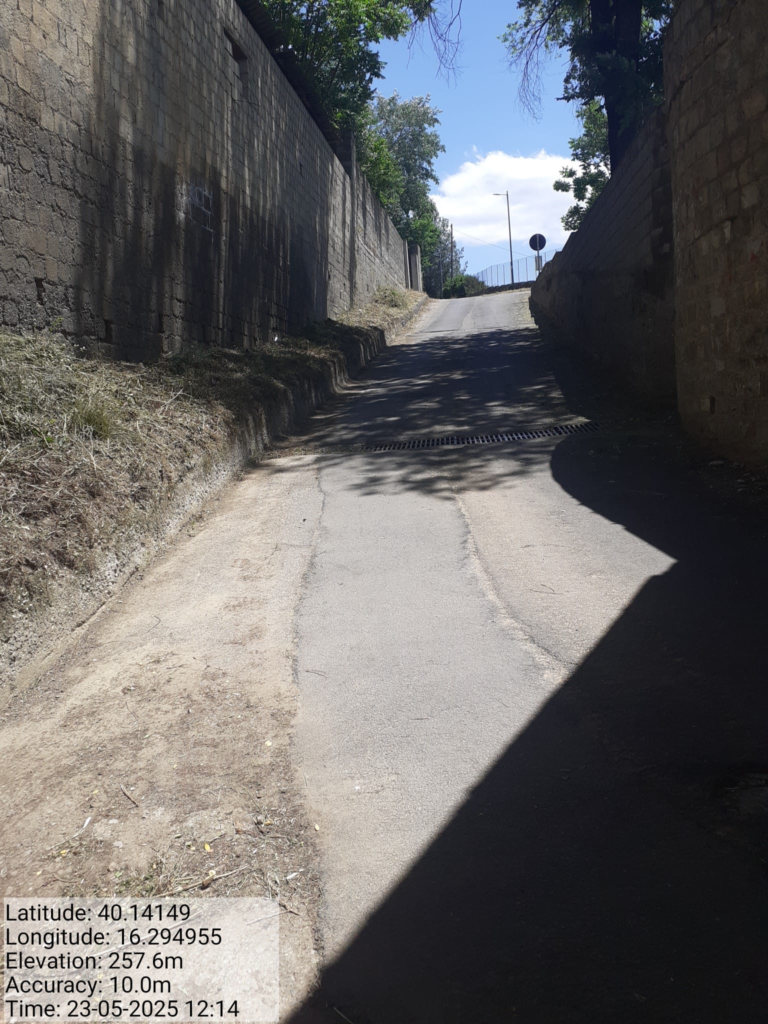 Galleria Fotografica Immagine