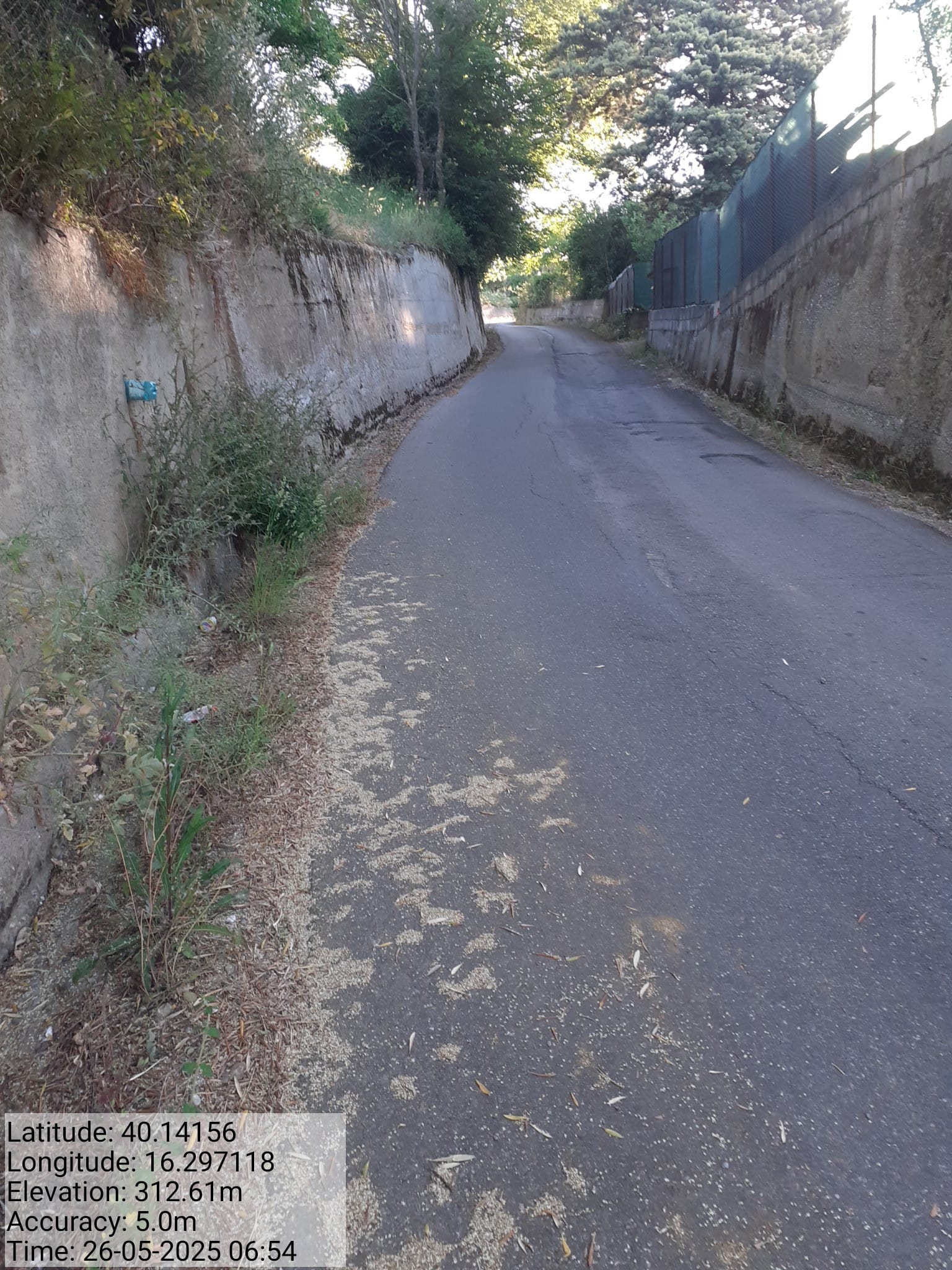 Galleria Fotografica Immagine