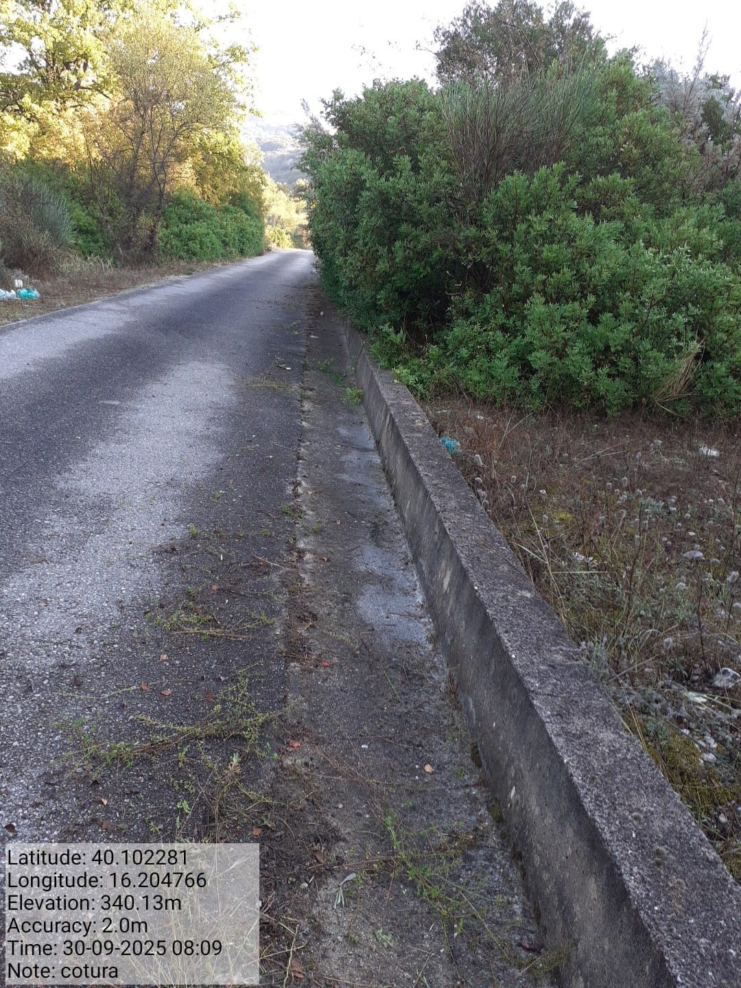 Galleria Fotografica Immagine