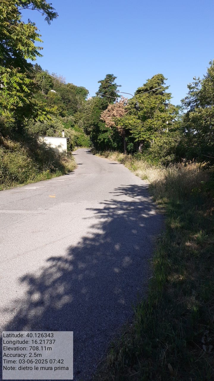 Galleria Fotografica Immagine