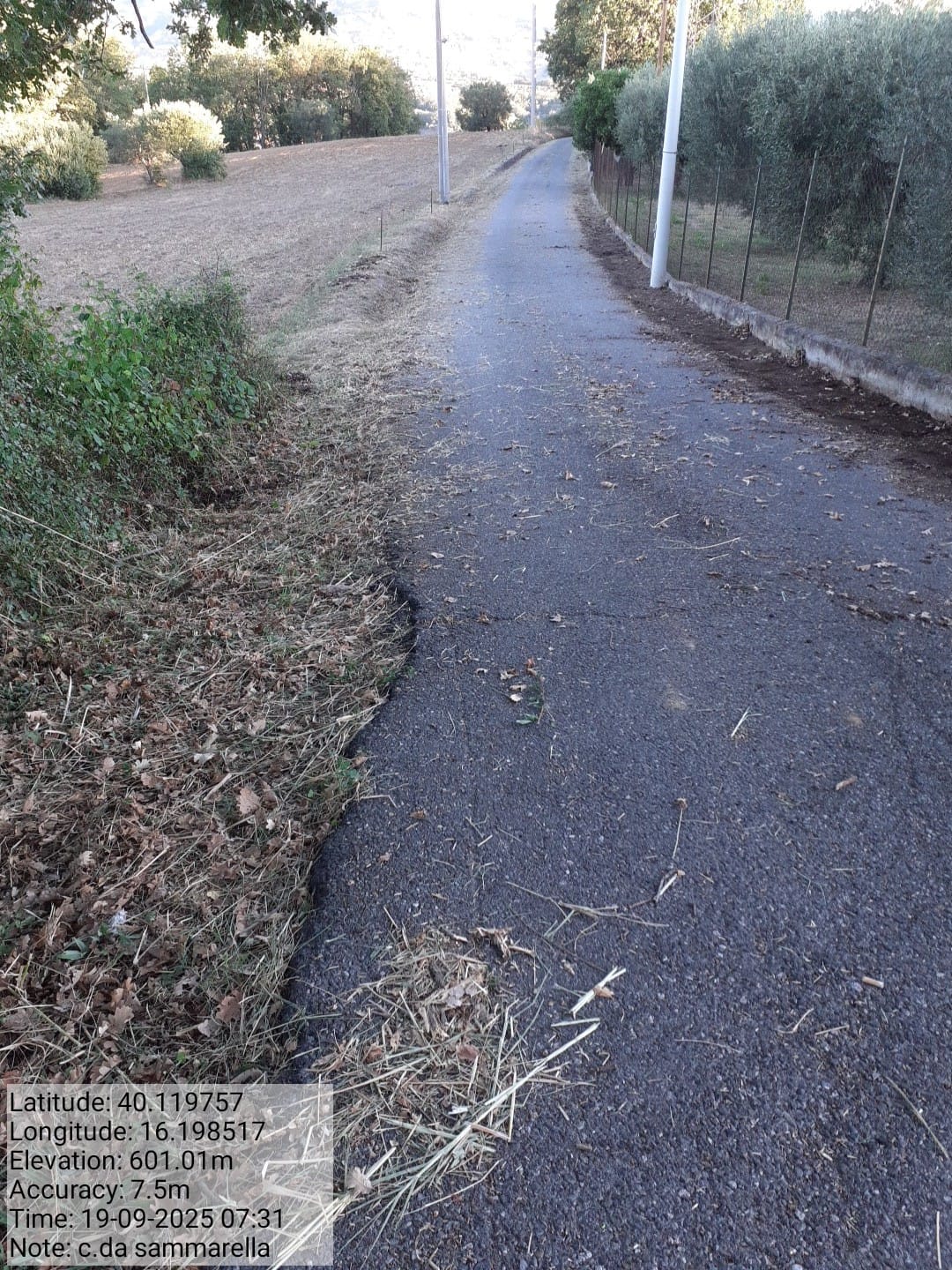 Galleria Fotografica Immagine