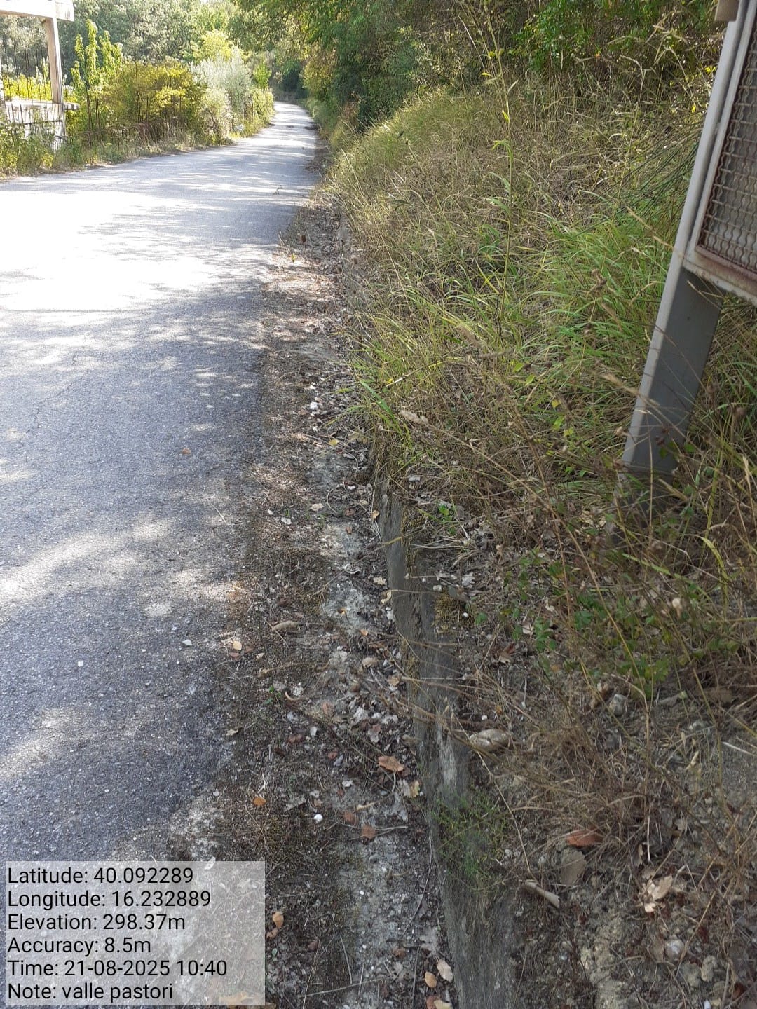 Galleria Fotografica Immagine