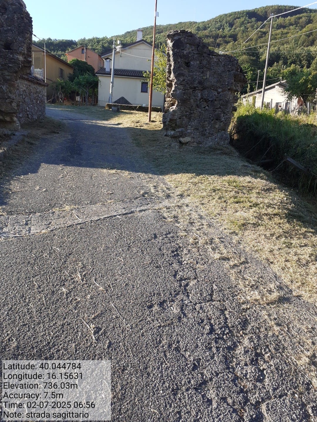 Galleria Fotografica Immagine