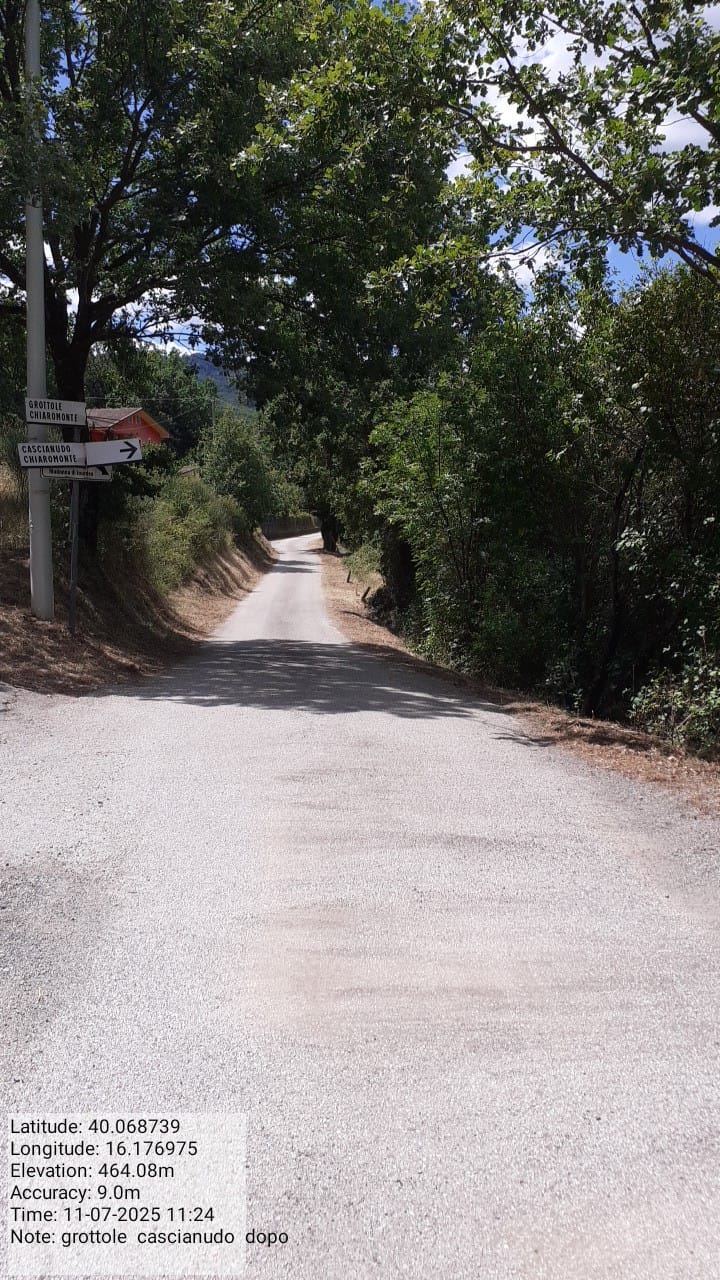 Galleria Fotografica Immagine