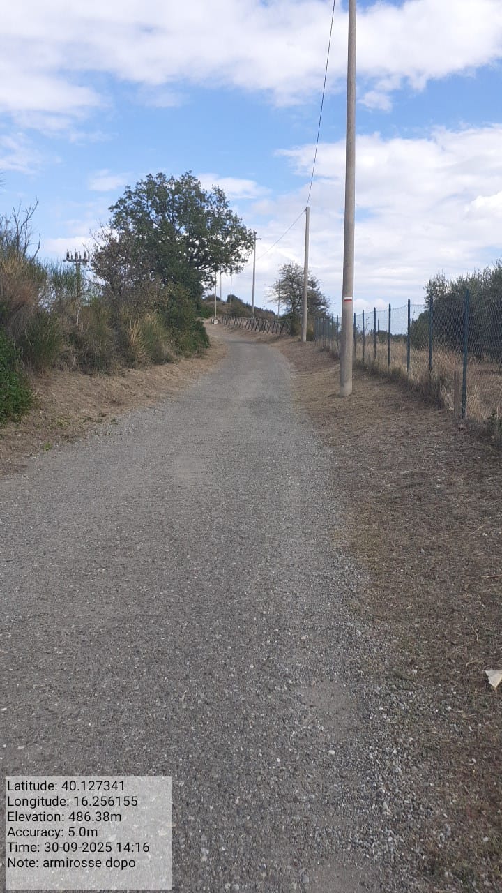 Galleria Fotografica Immagine