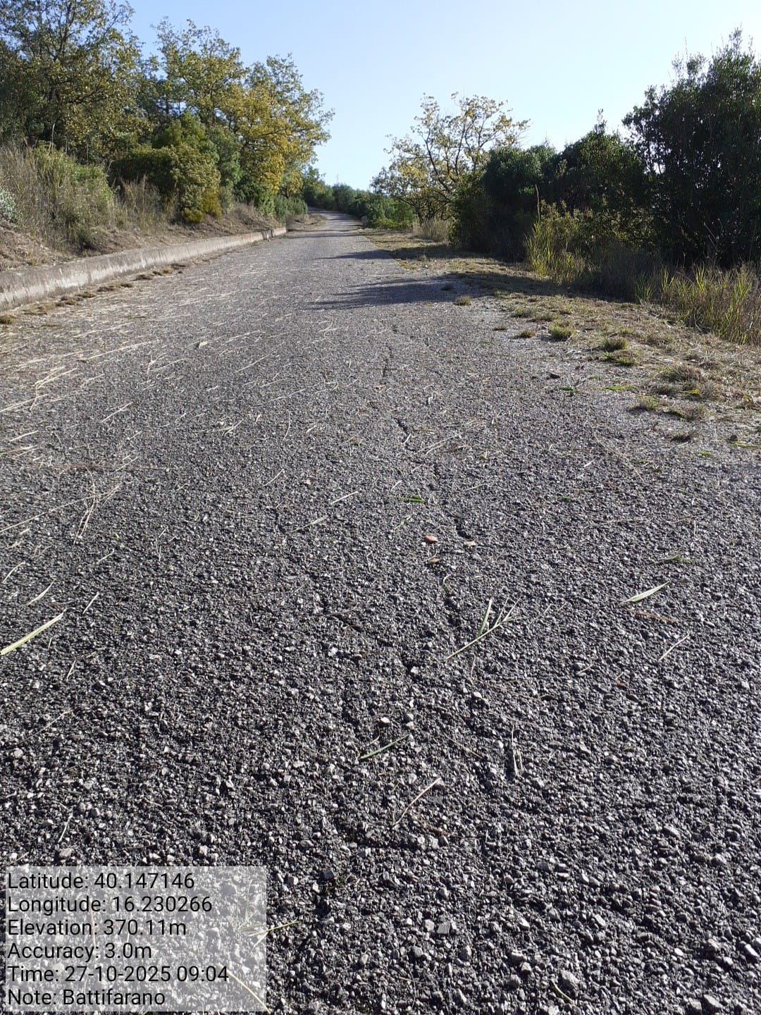 Galleria Fotografica Immagine