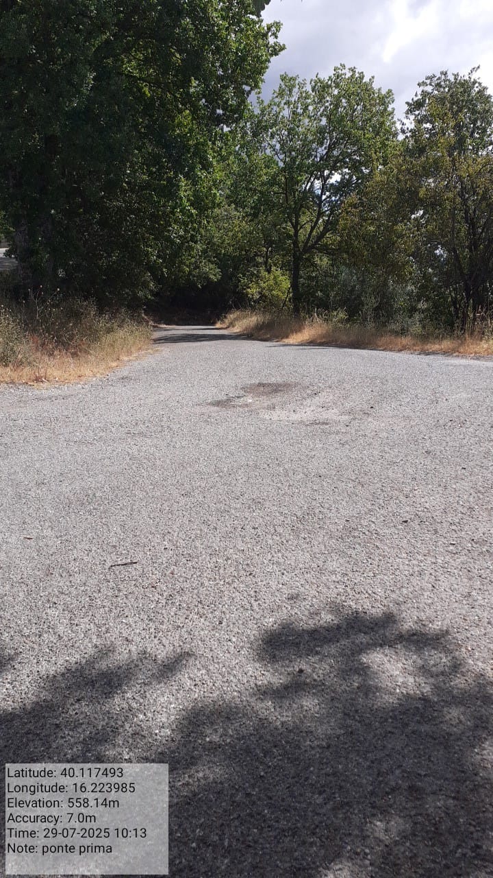 Galleria Fotografica Immagine