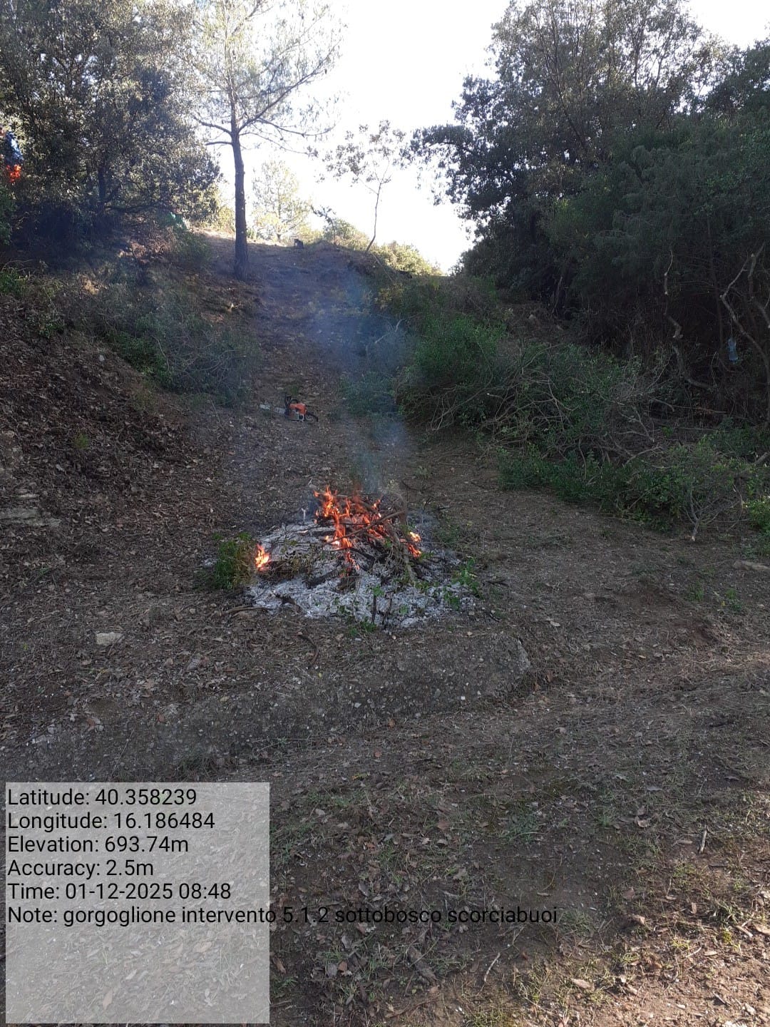 Galleria Fotografica Immagine