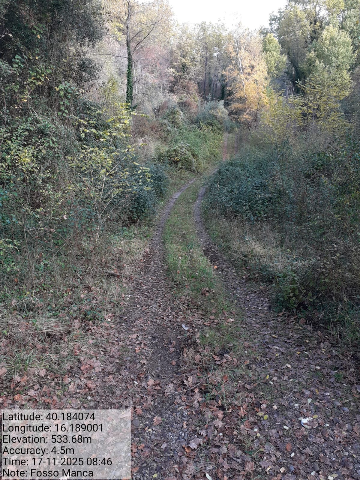 Galleria Fotografica Immagine