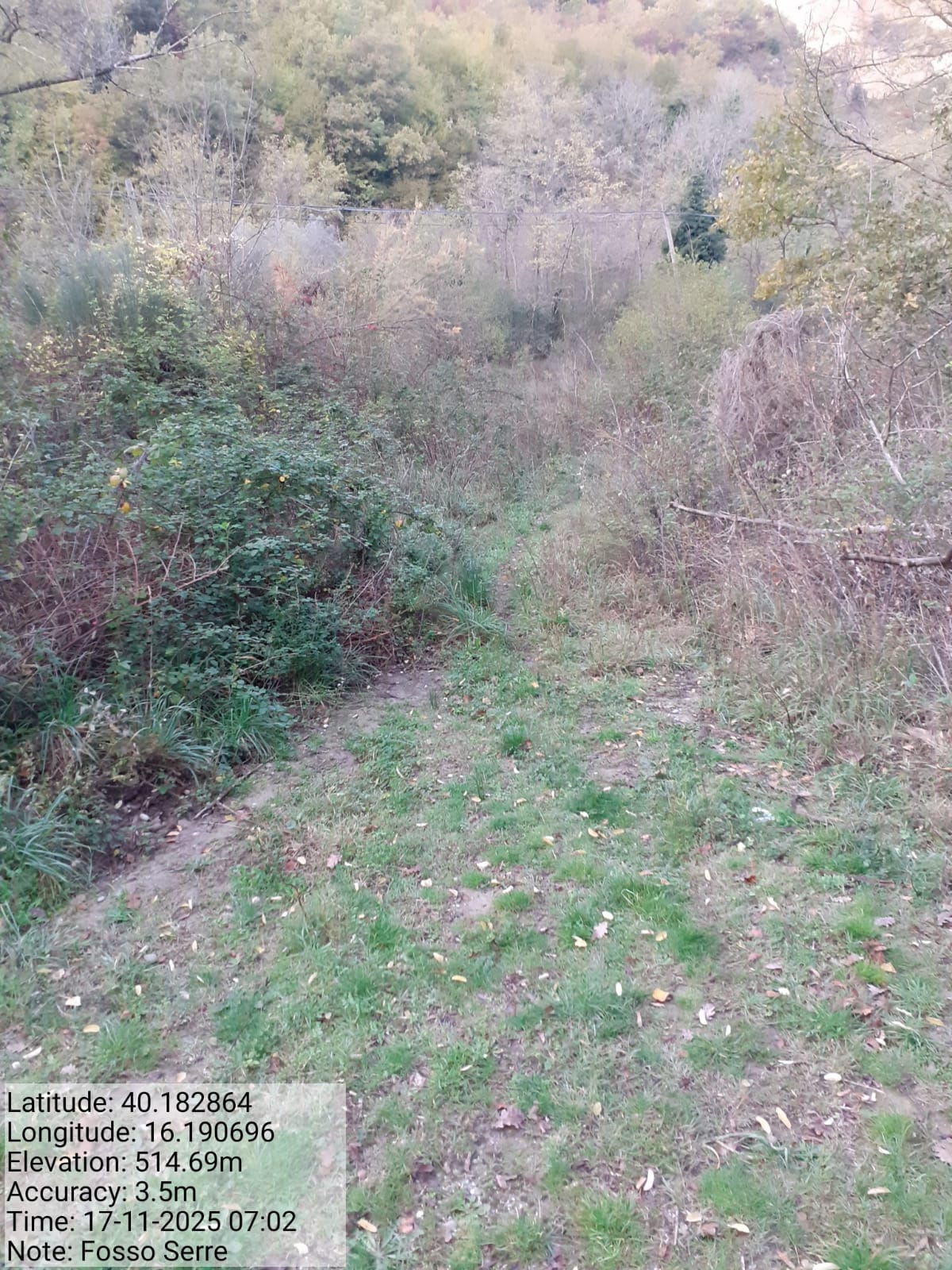 Galleria Fotografica Immagine