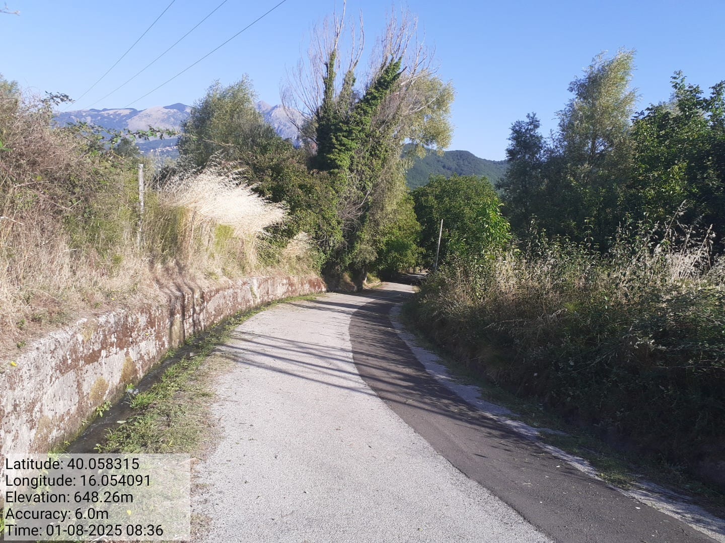 Galleria Fotografica Immagine