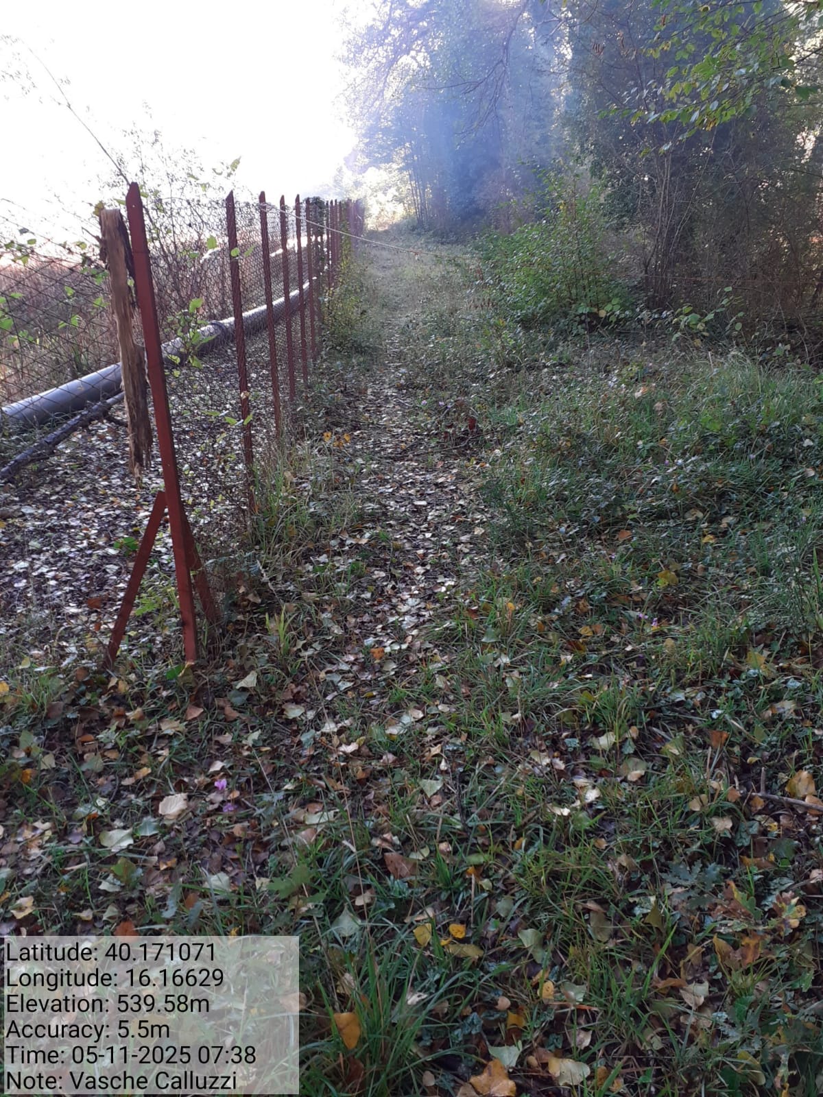 Galleria Fotografica Immagine