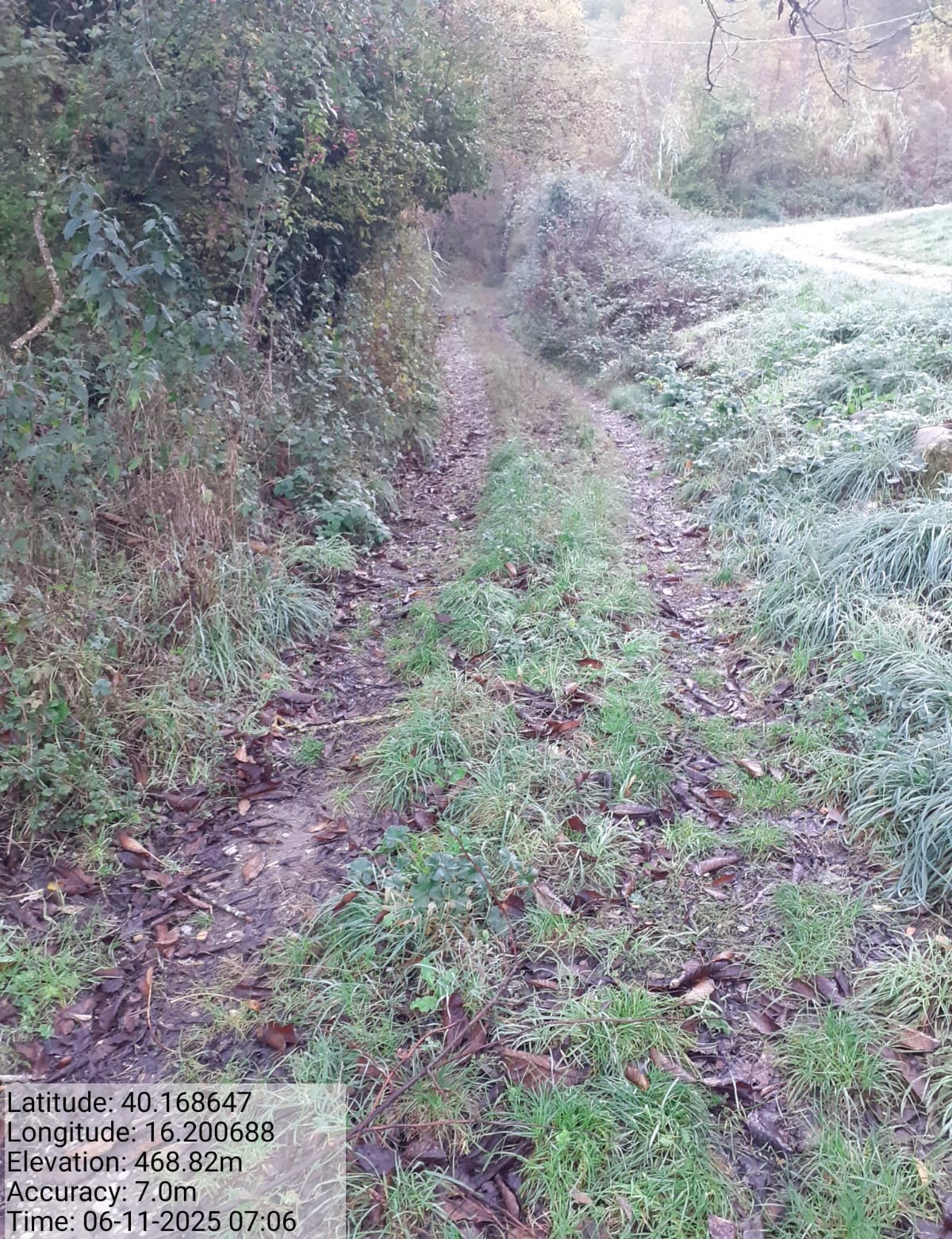 Galleria Fotografica Immagine