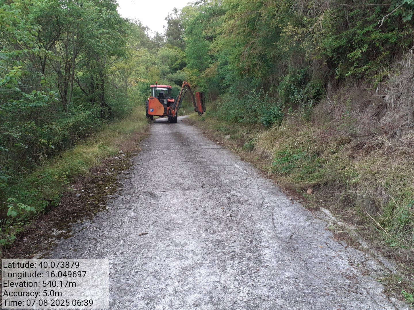 Galleria Fotografica Immagine