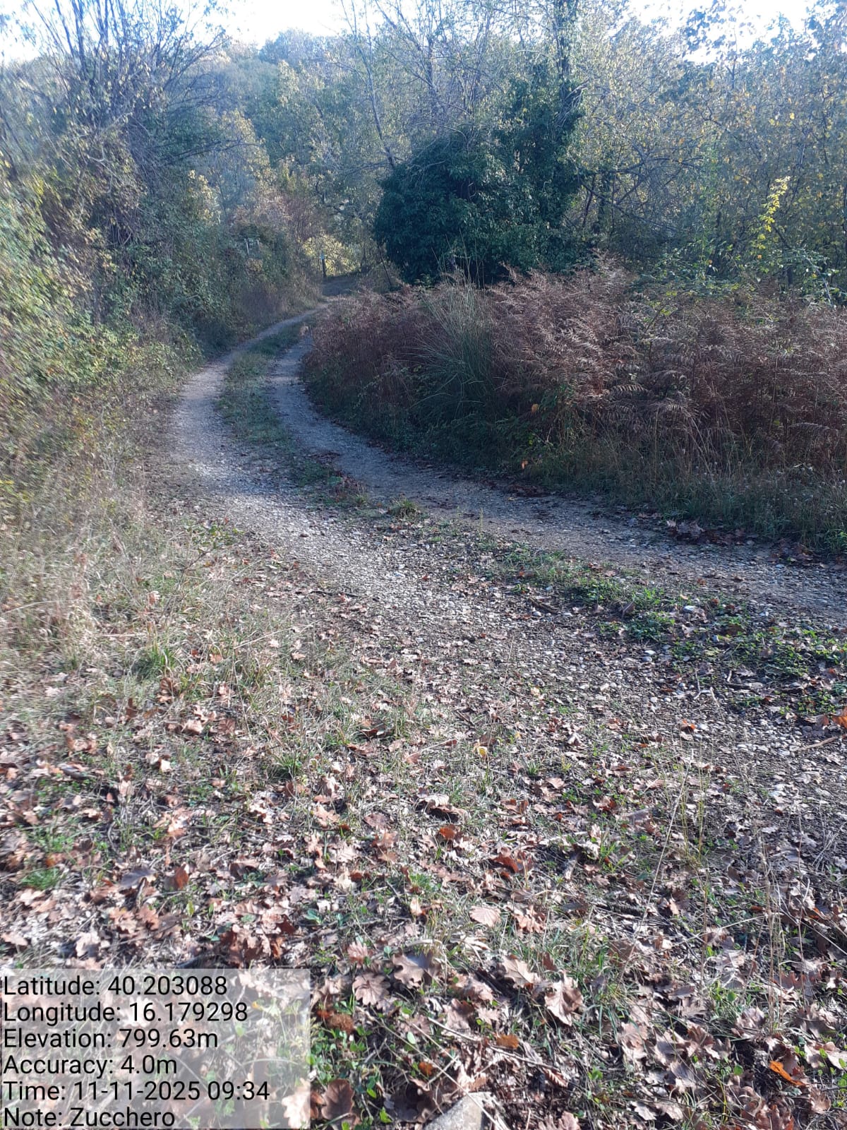 Galleria Fotografica Immagine