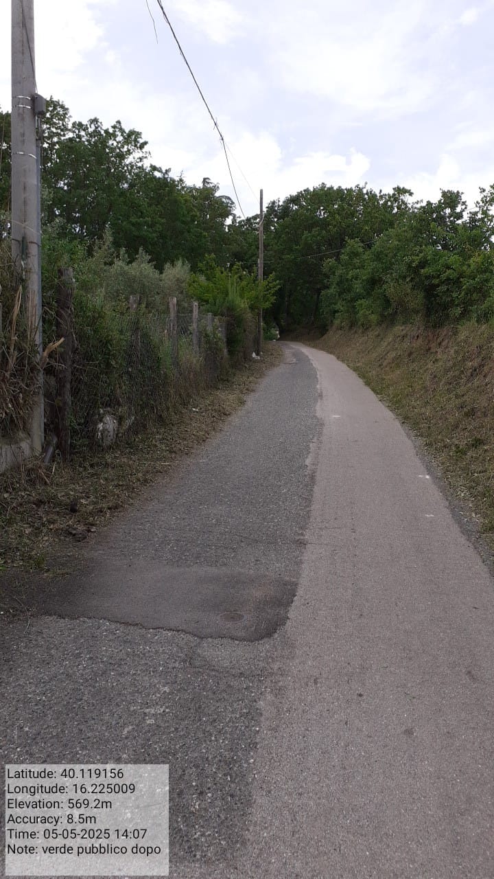 Galleria Fotografica Immagine