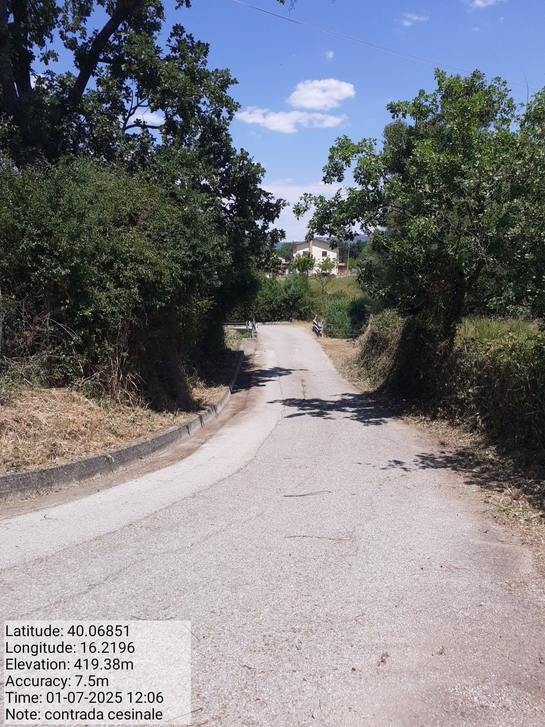 Galleria Fotografica Immagine