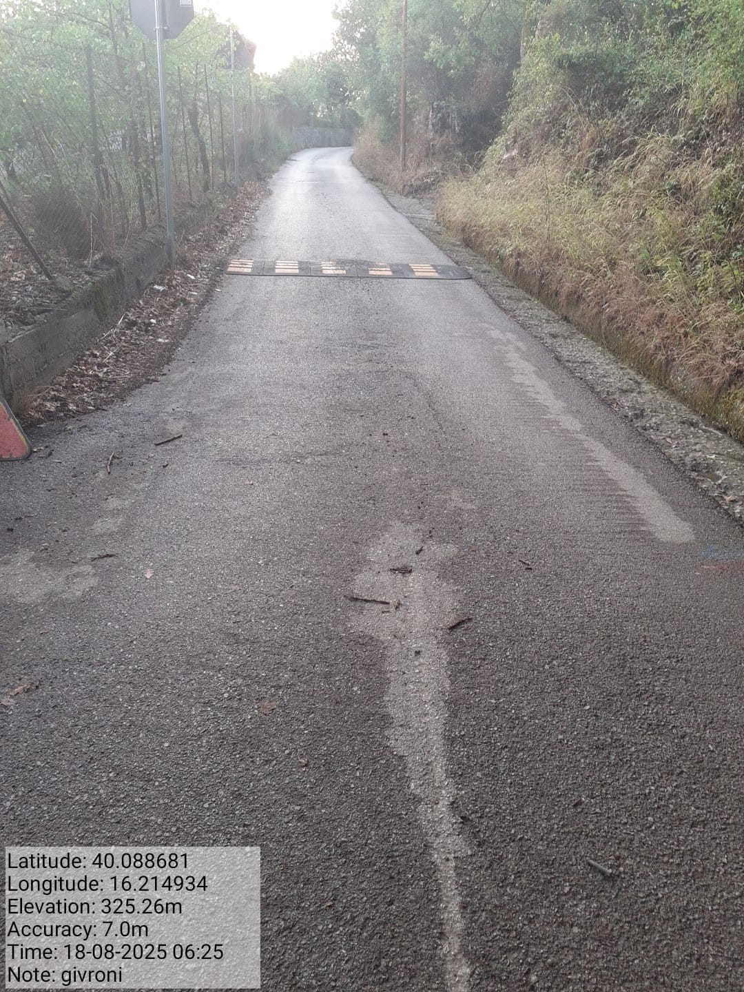 Galleria Fotografica Immagine