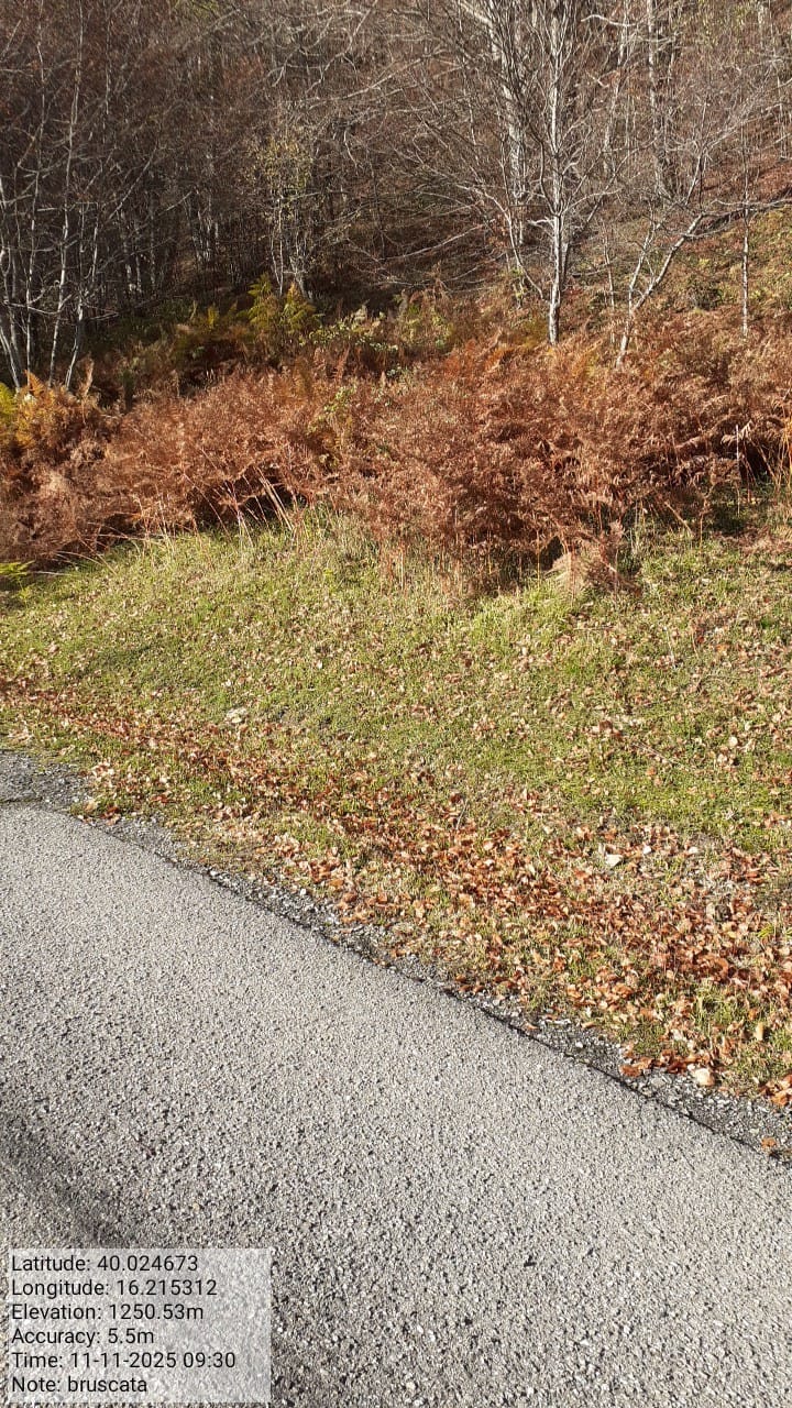 Galleria Fotografica Immagine