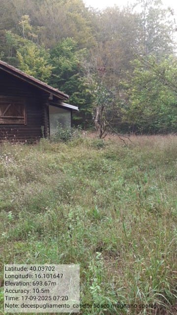 Galleria Fotografica Immagine