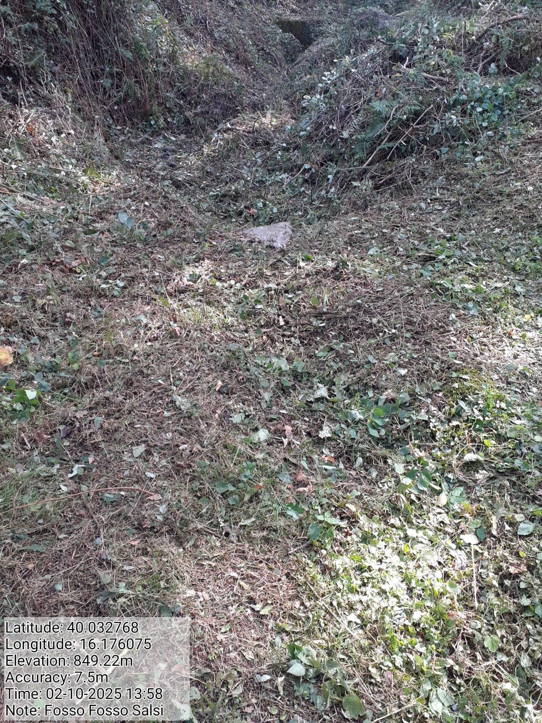 Galleria Fotografica Immagine