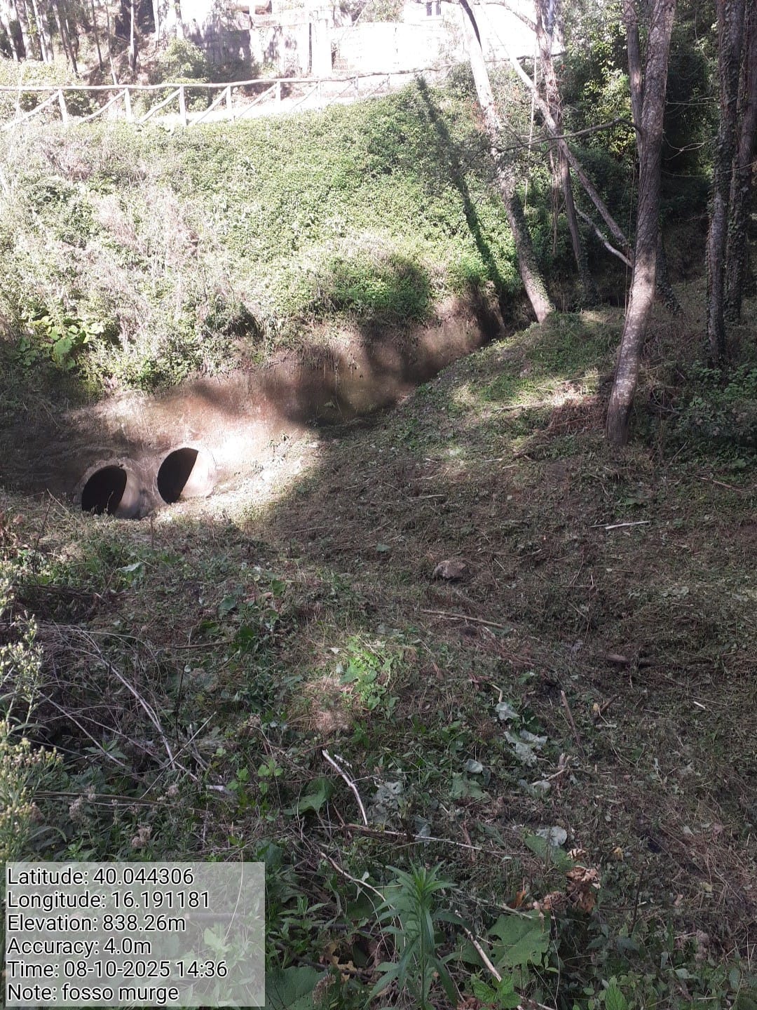 Galleria Fotografica Immagine