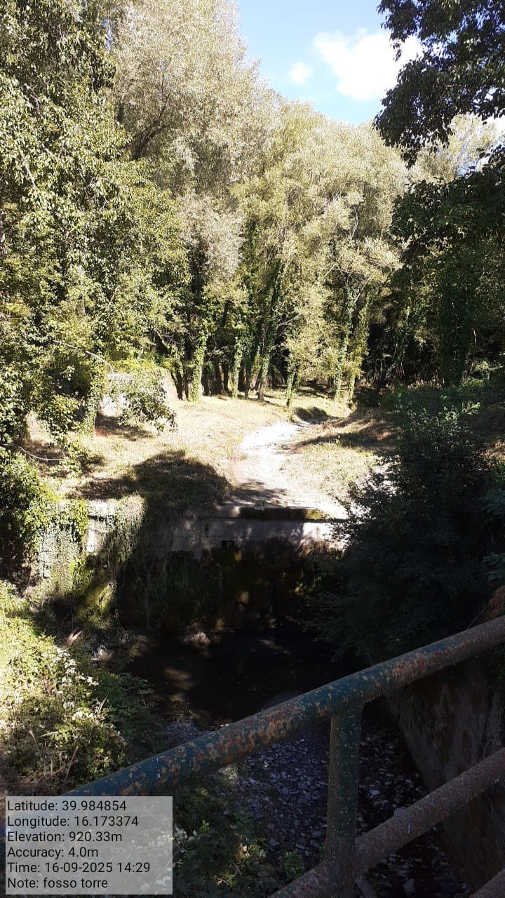 Galleria Fotografica Immagine