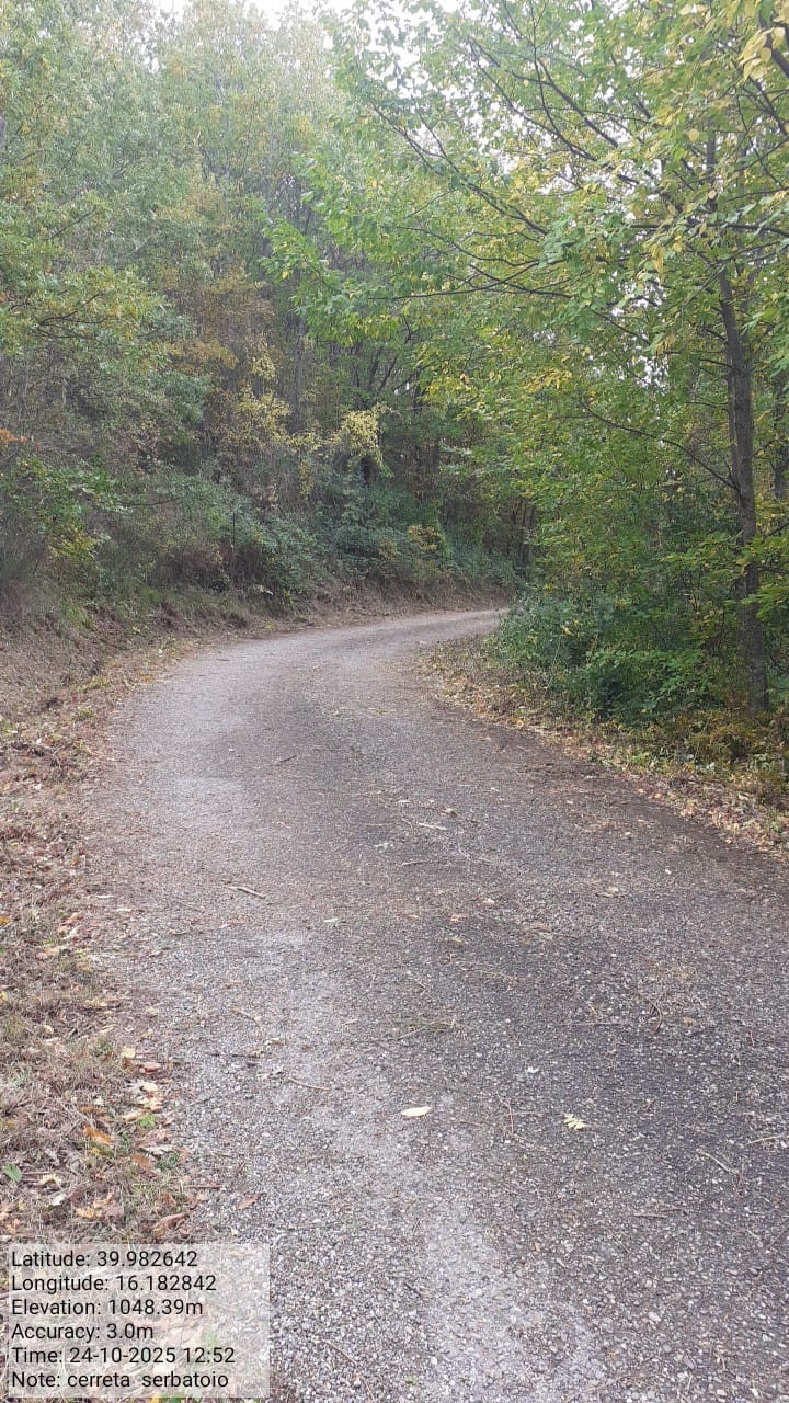 Galleria Fotografica Immagine