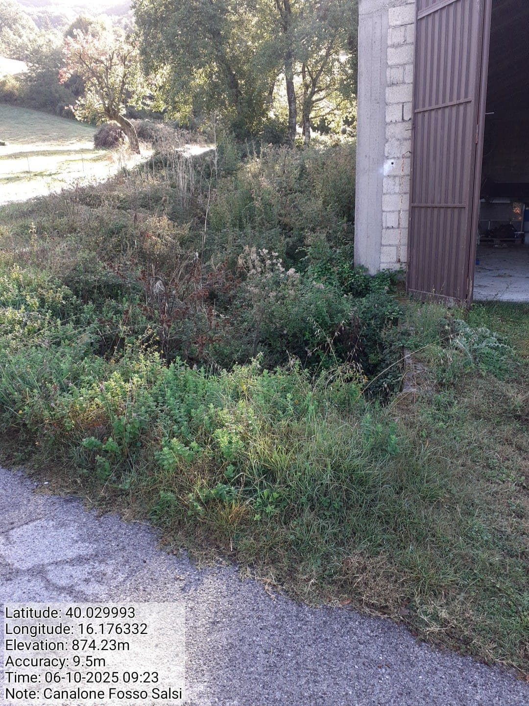 Galleria Fotografica Immagine