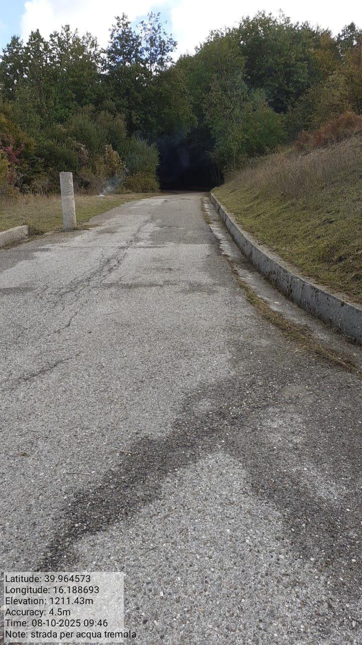 Galleria Fotografica Immagine