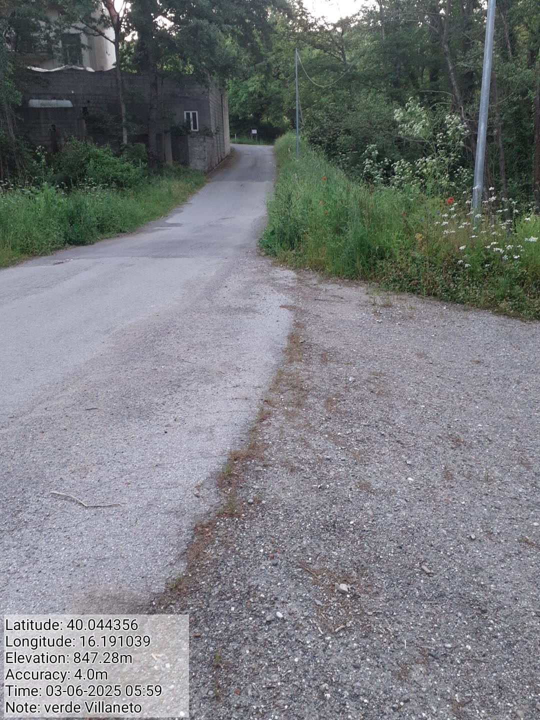 Galleria Fotografica Immagine