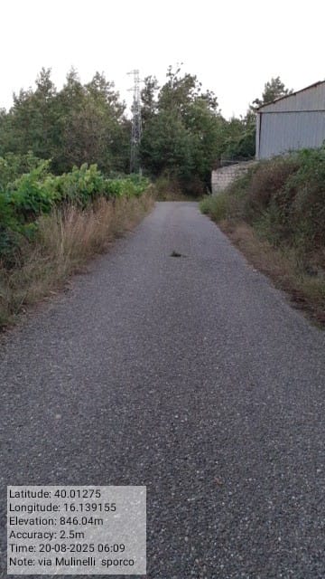 Galleria Fotografica Immagine