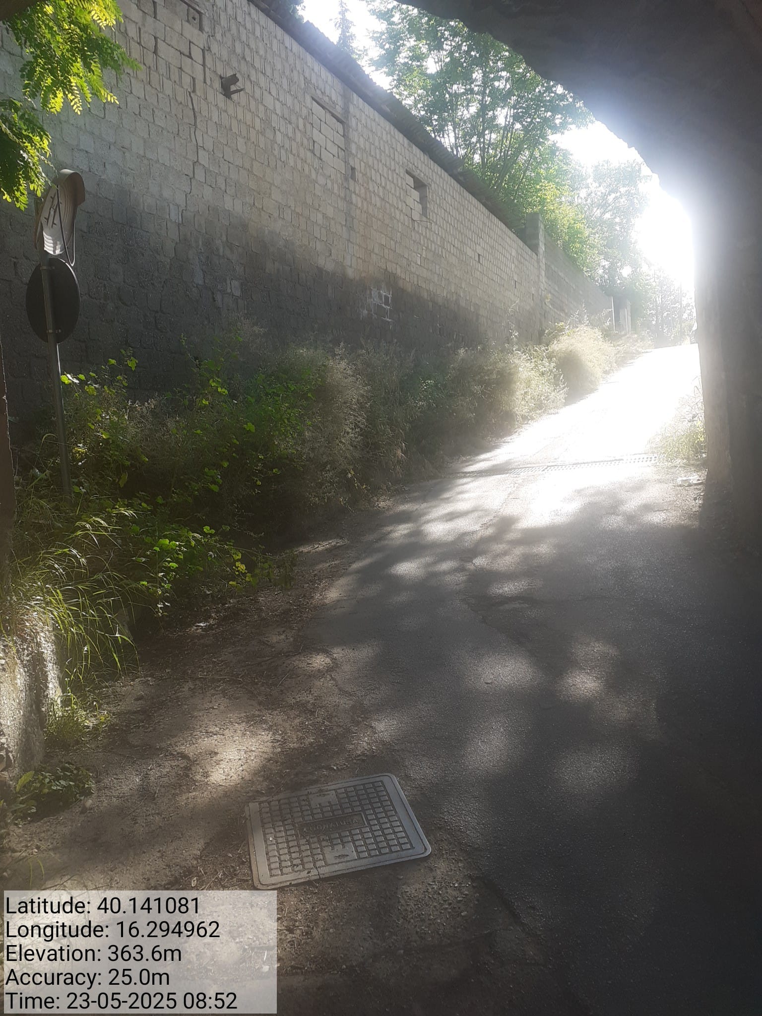 Galleria Fotografica Immagine