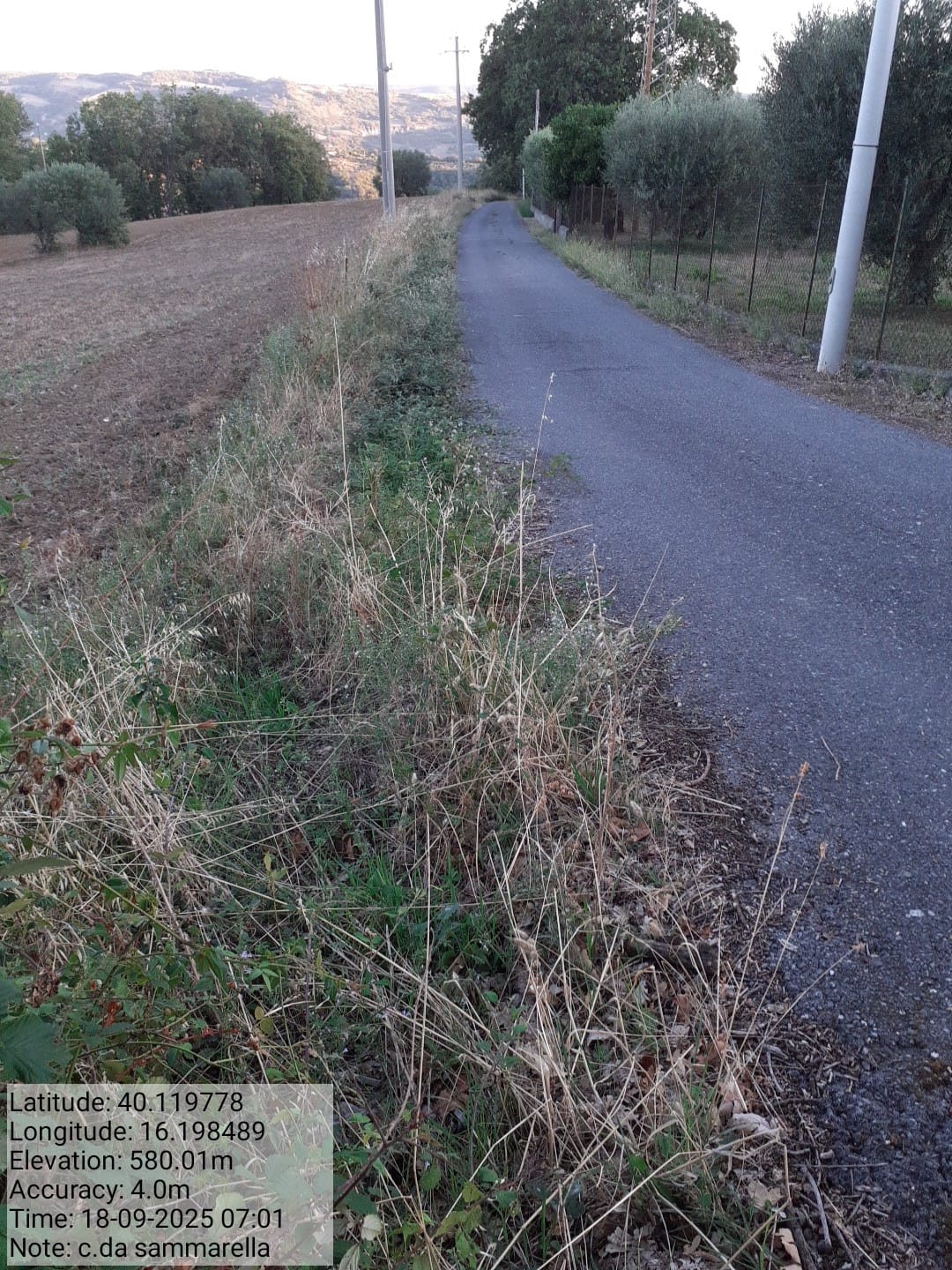 Galleria Fotografica Immagine