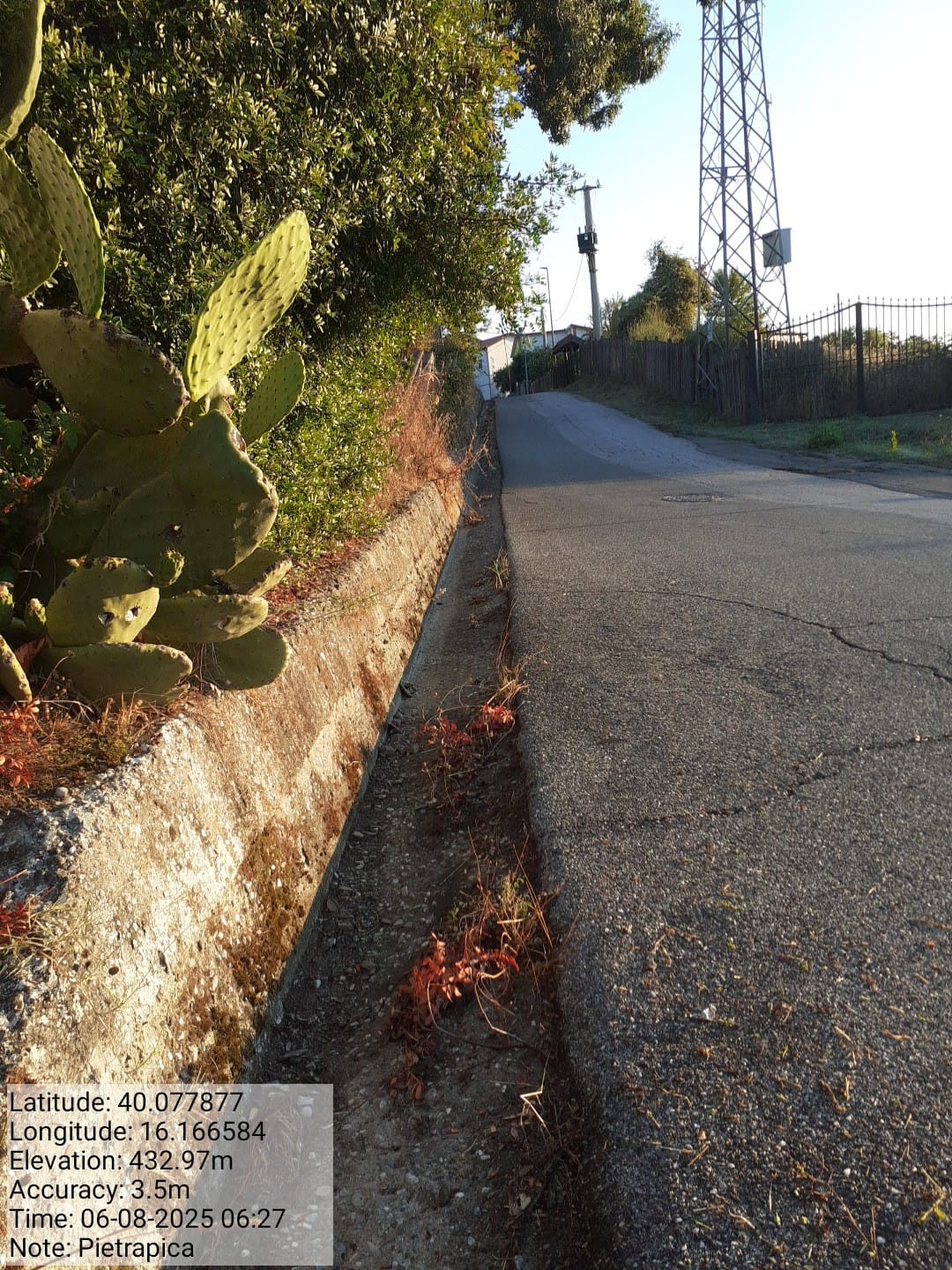 Galleria Fotografica Immagine