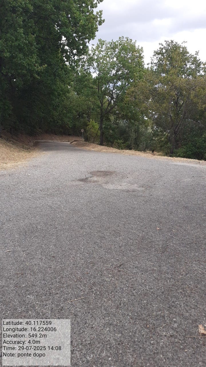 Galleria Fotografica Immagine