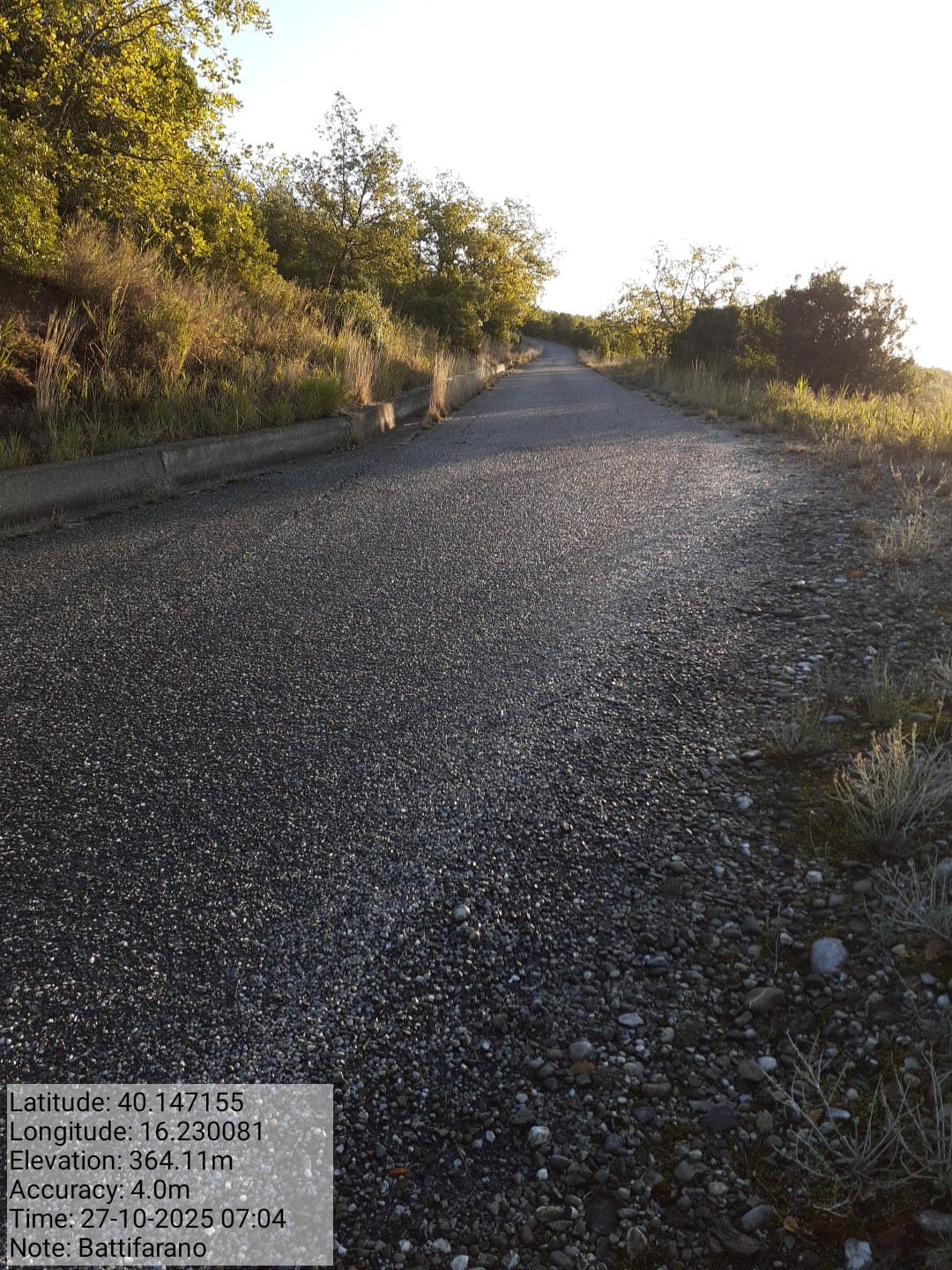 Galleria Fotografica Immagine