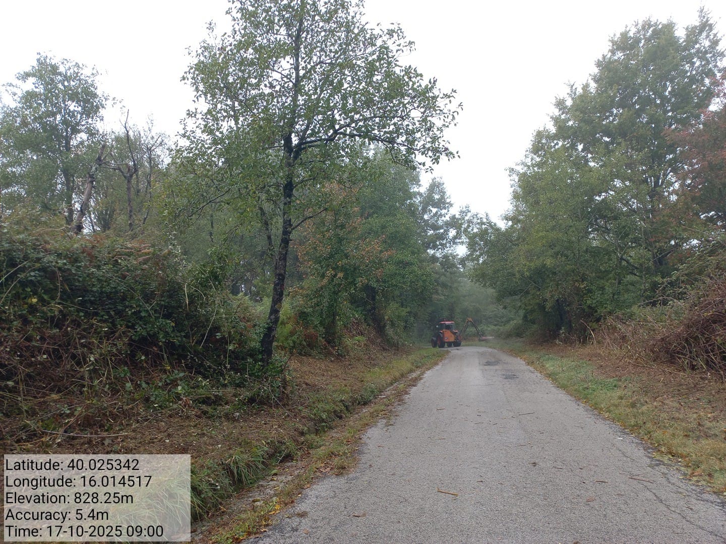 Galleria Fotografica Immagine