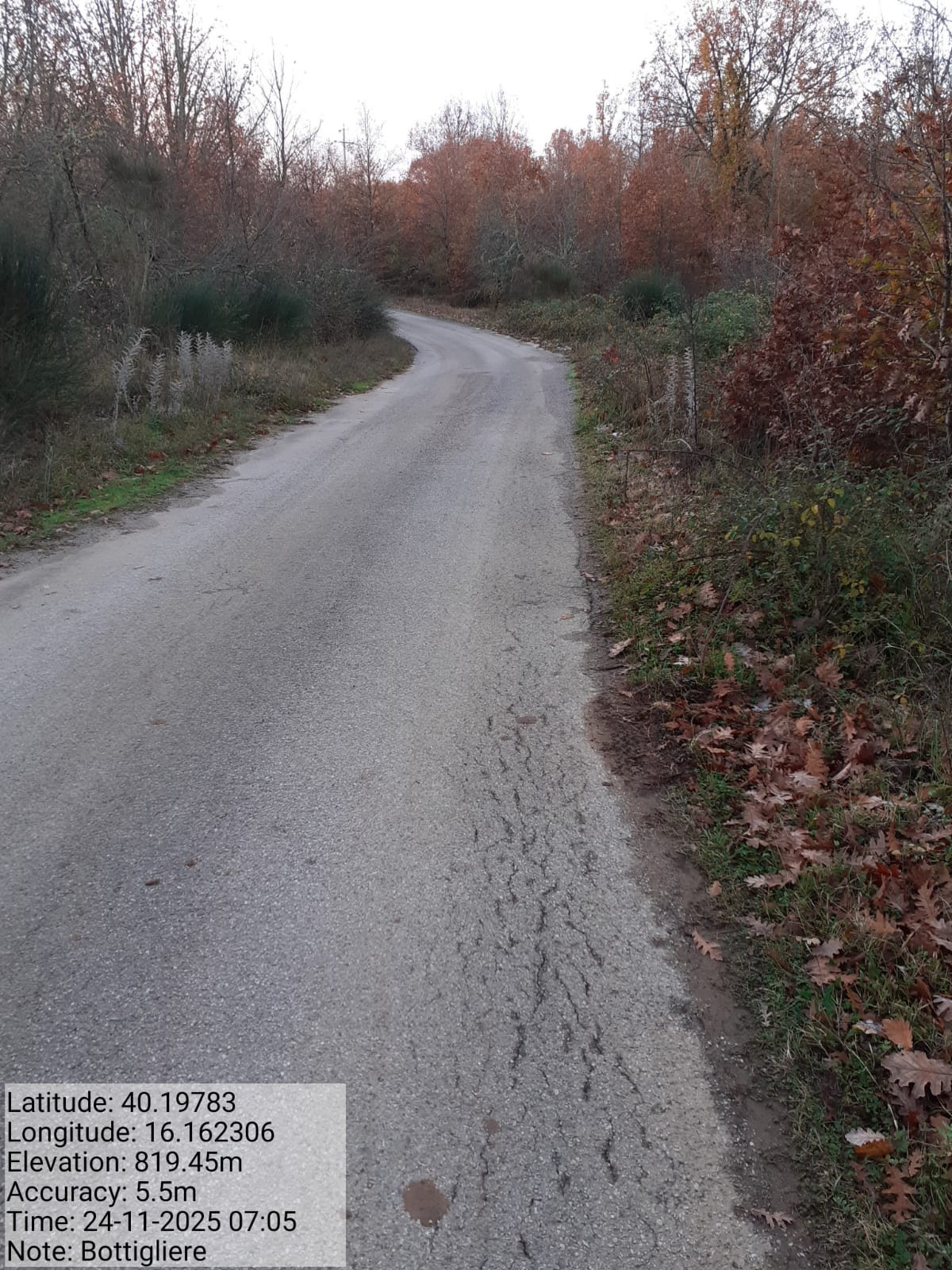 Galleria Fotografica Immagine