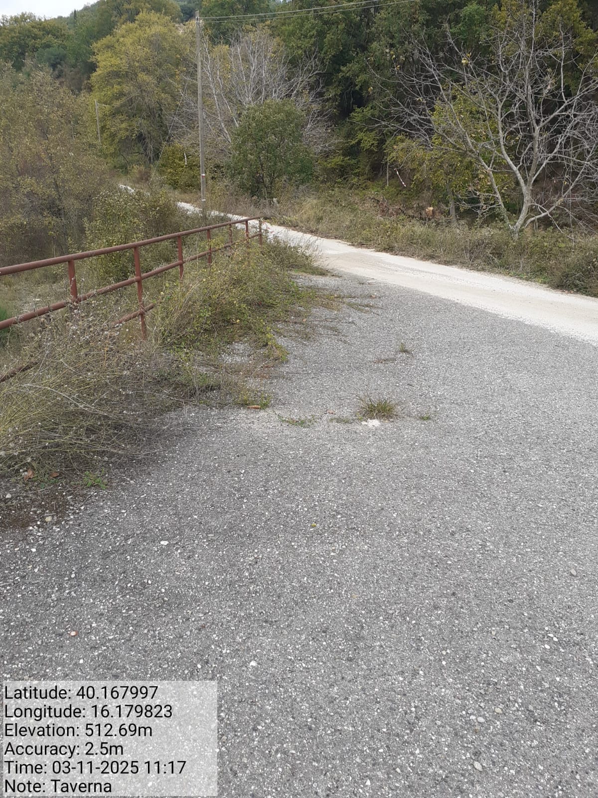 Galleria Fotografica Immagine