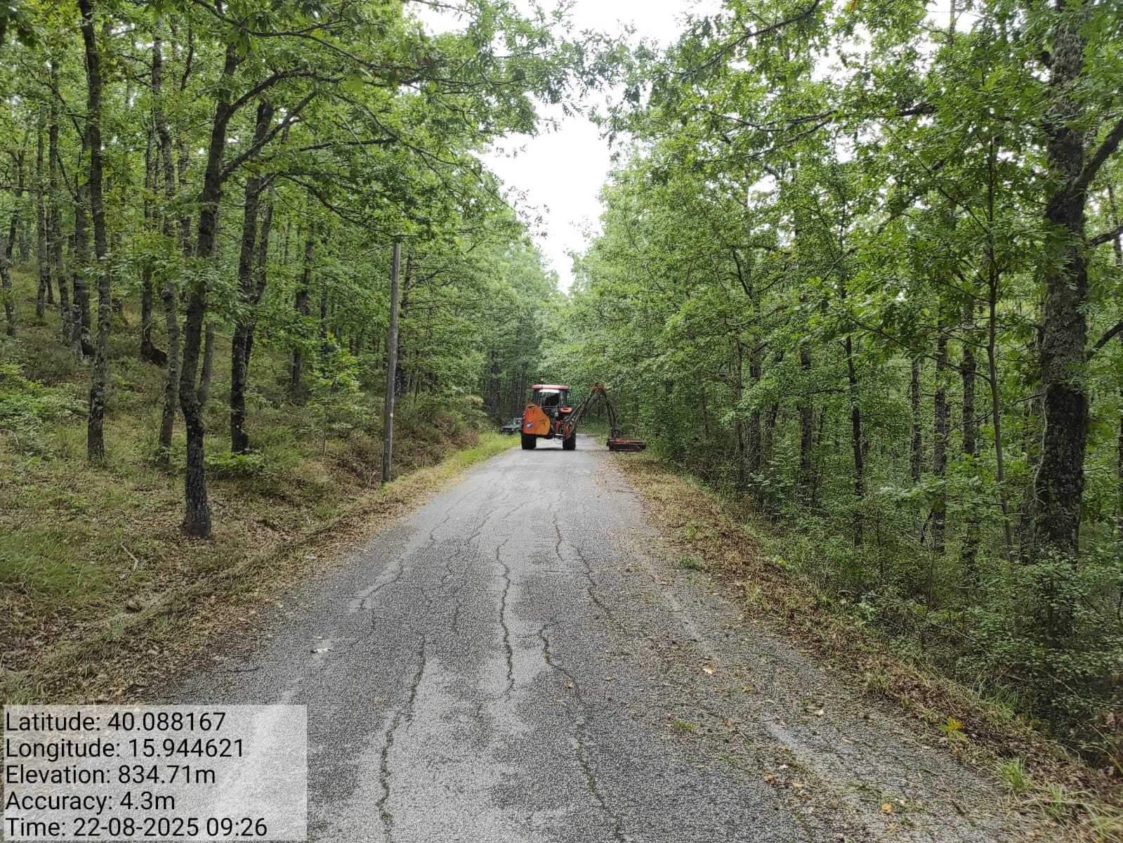 Galleria Fotografica Immagine