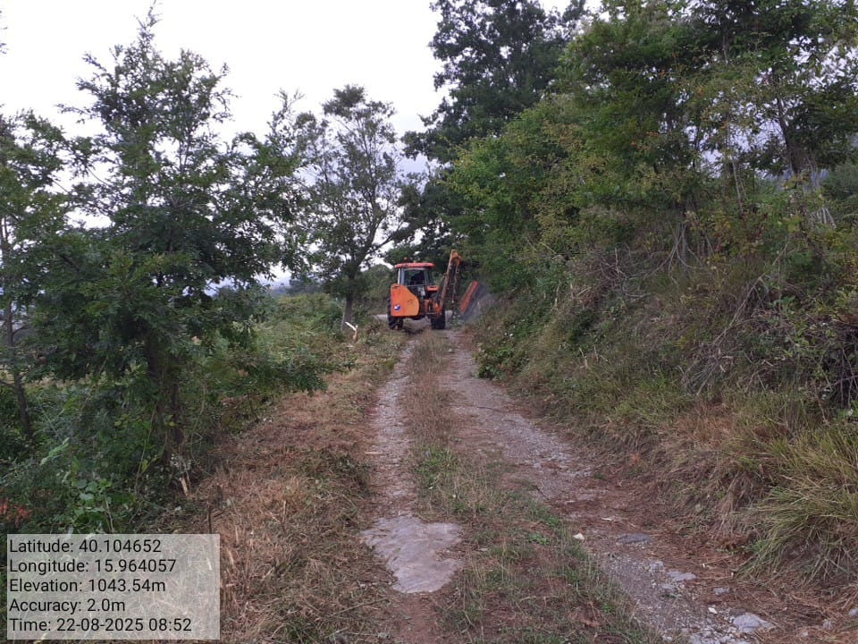 Galleria Fotografica Immagine