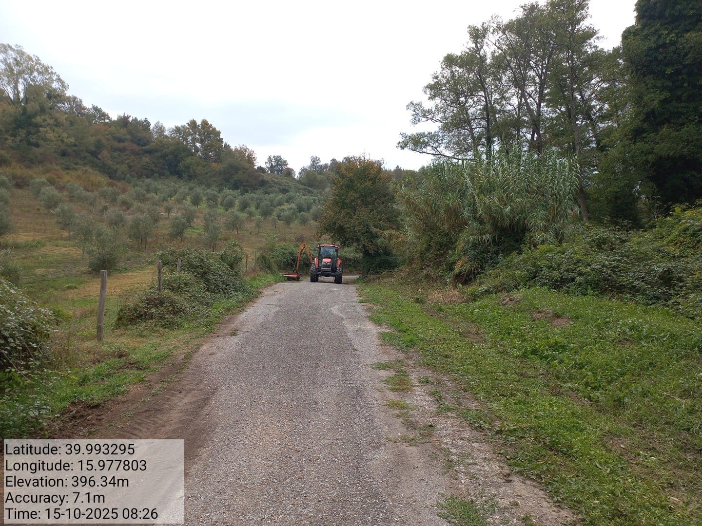 Galleria Fotografica Immagine