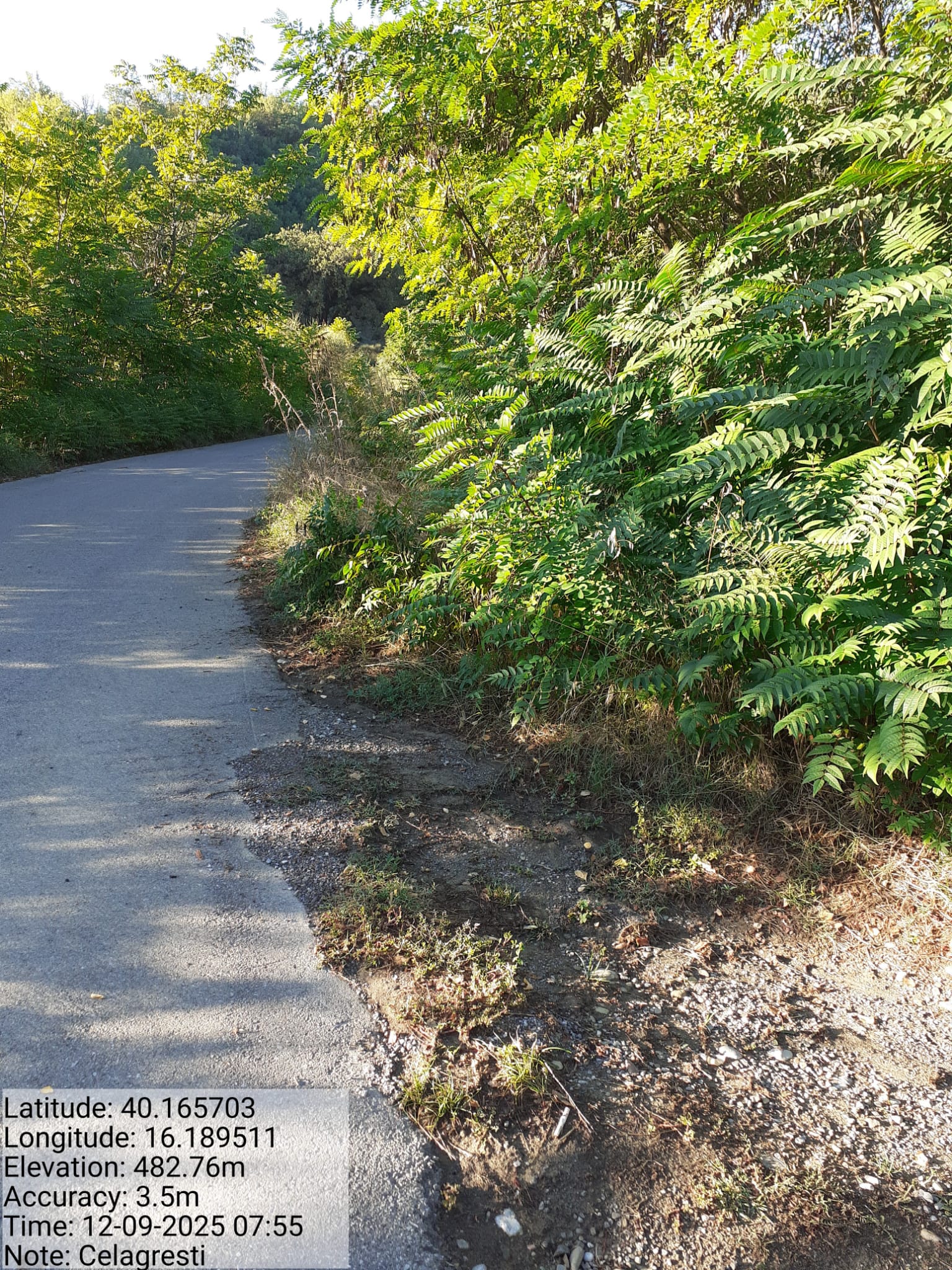 Galleria Fotografica Immagine