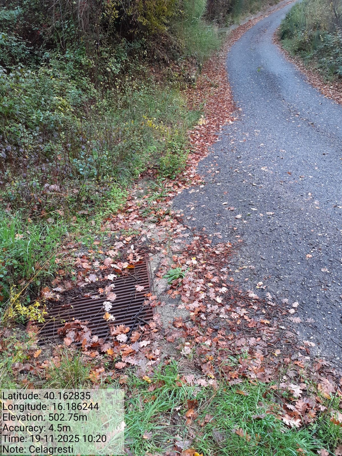 Galleria Fotografica Immagine