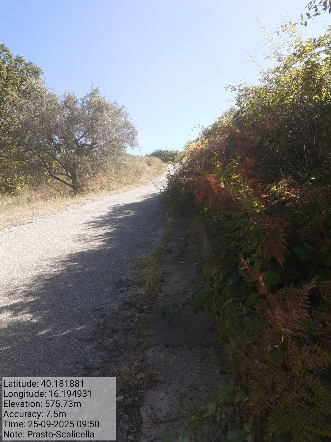 Galleria Fotografica Immagine