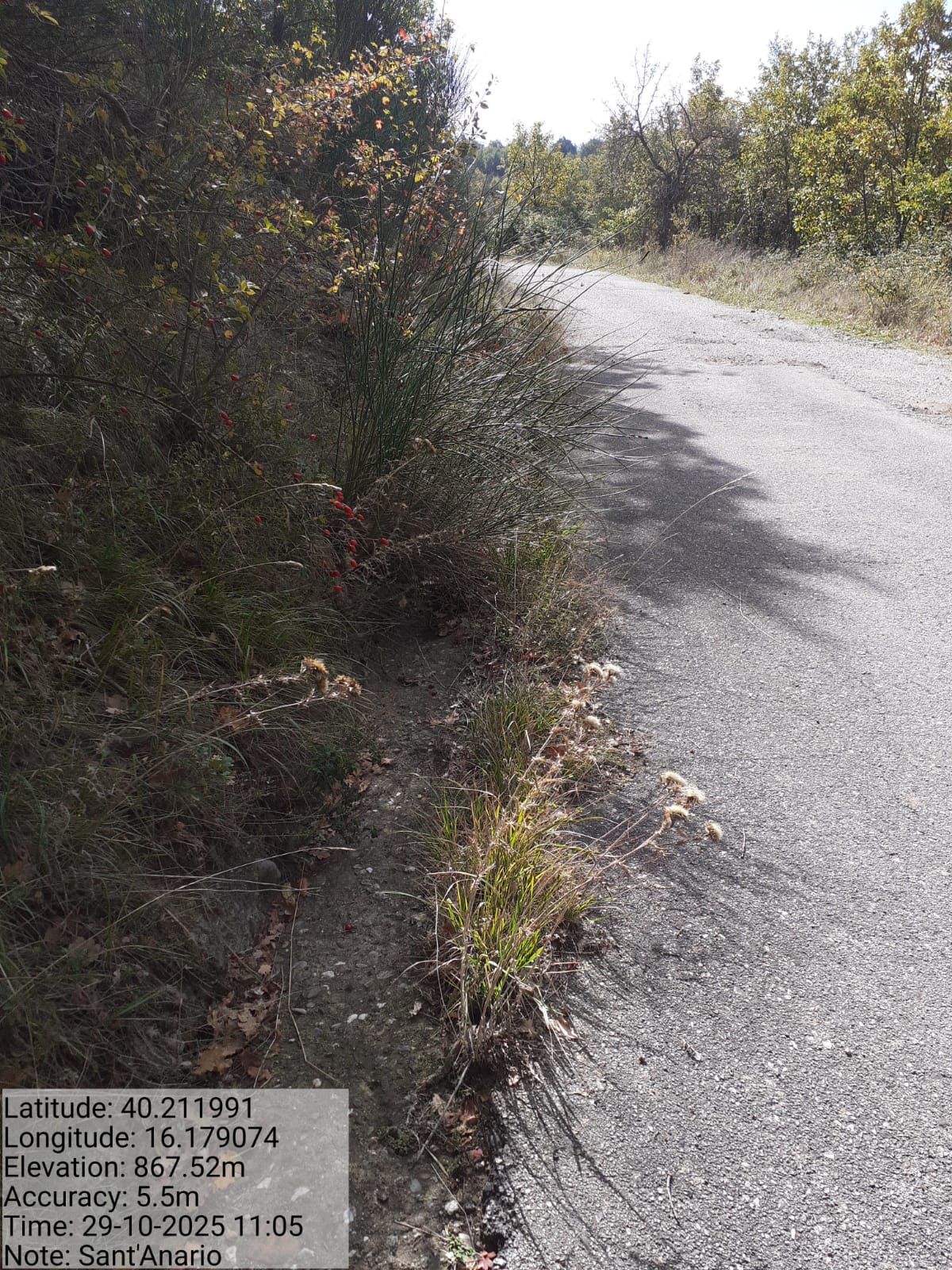 Galleria Fotografica Immagine