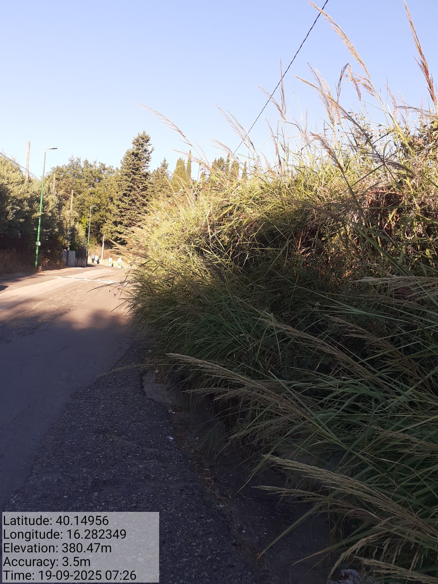 Galleria Fotografica Immagine